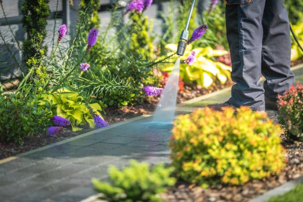 Best Pool Deck Cleaning  in Rising Sun Lebanon, DE